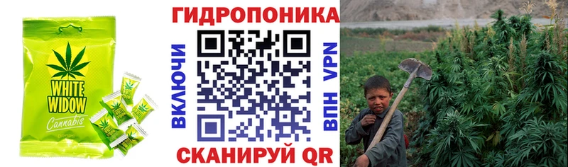 Canna-Cookies конопля Буйнакск