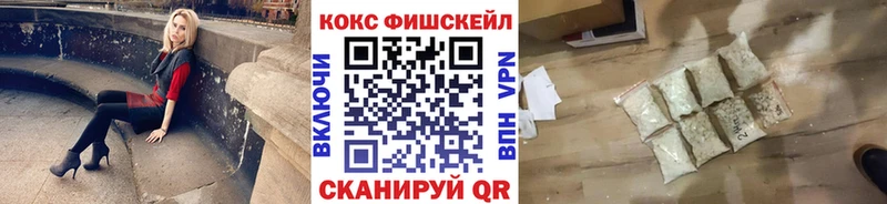 Кокаин Fish Scale  Купить закладки  Буйнакск 